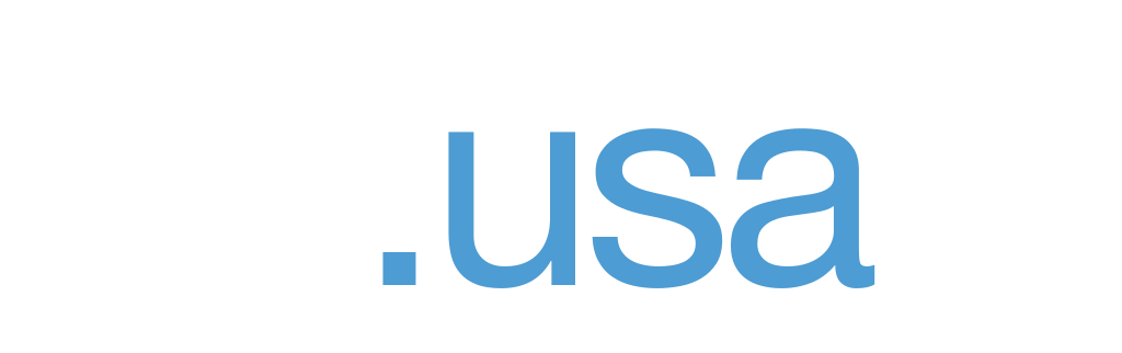 logo ksi usa